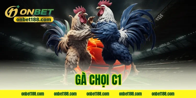 gà chọi c1