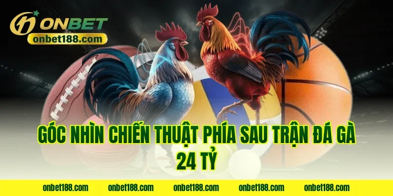 Góc nhìn chiến thuật phía sau trận đá gà 24 tỷ